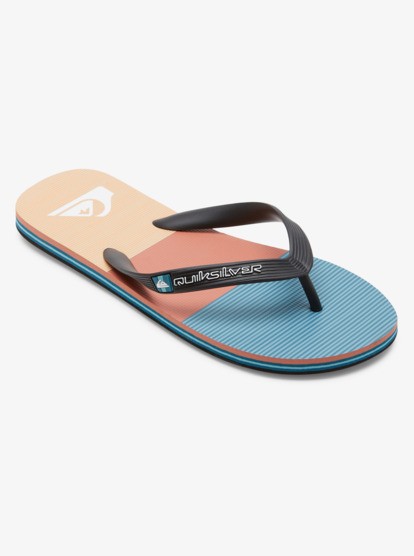 Quiksilver Molokai Stripe Erkek Parmak Arası Terlik AQYL101361