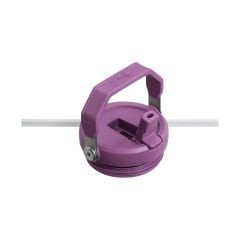 Stanley The IceFlow Flip Straw Pipetli Termos Bardak 0,89 LT 10-09993-312