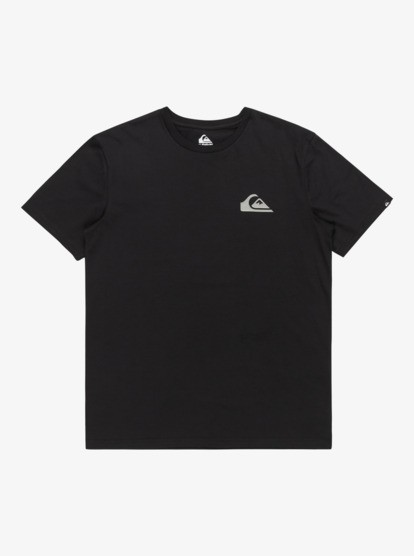 Quiksilver Mw Mini Logo Erkek Tişört EQYZT07657