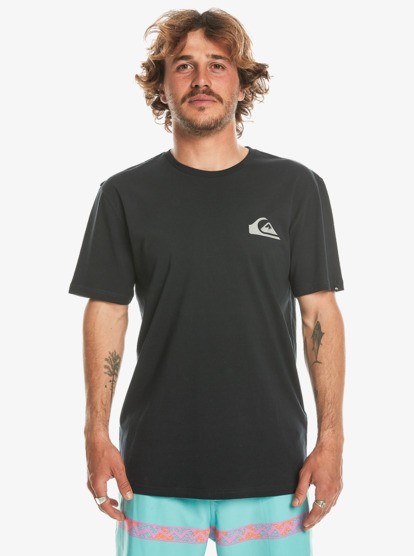 Quiksilver Mw Mini Logo Erkek Tişört EQYZT07657