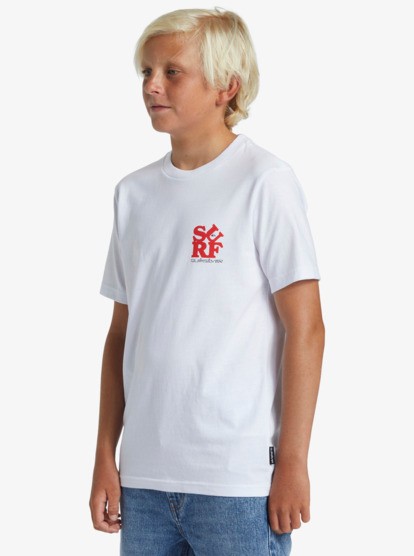 Quiksilver Surf Ss Boe Erkek Çocuk Tişört AQBZT04373