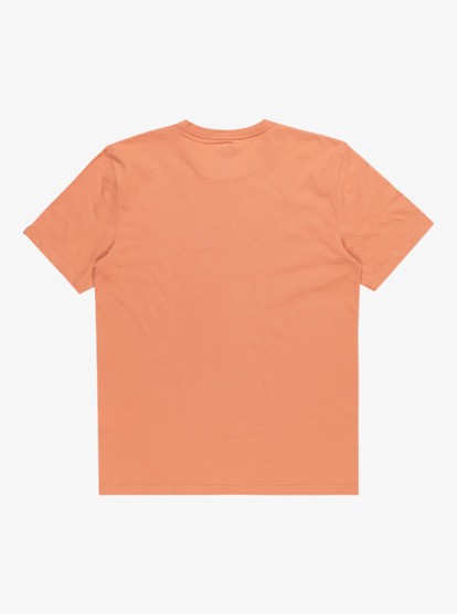 Quiksilver Comp Logo Ss Erkek Siyah Tişört EQYZT07658