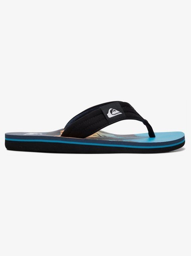 Quiksilver Molokai Word Block Unisex  Flip-Flops Çocuk ve Kadın Terlik Mavi   AQBL100425