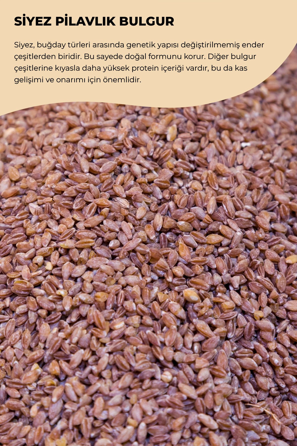 ORGANİK SİYEZ PİLAVLIK BULGUR - 500GR