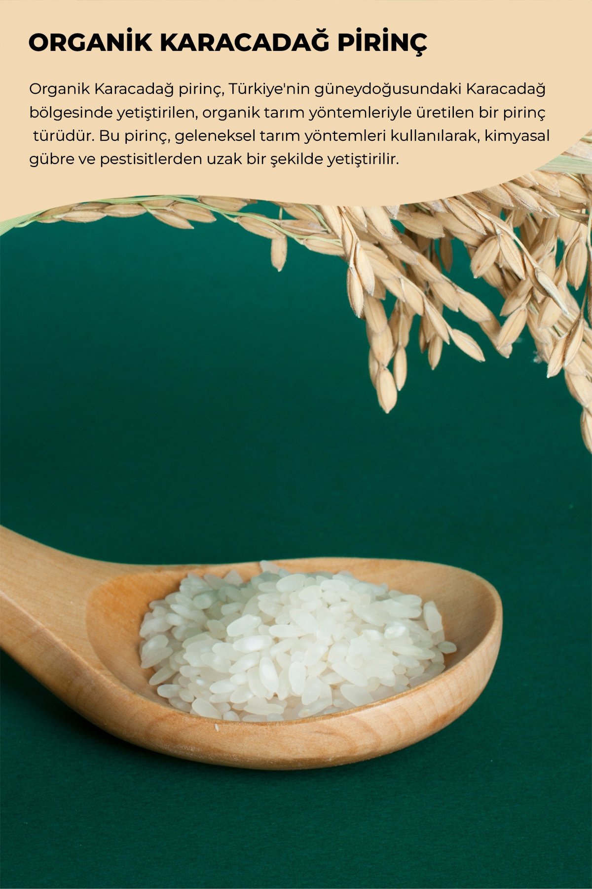 ORGANİK KARACADAĞ PİRİNÇ  500GR