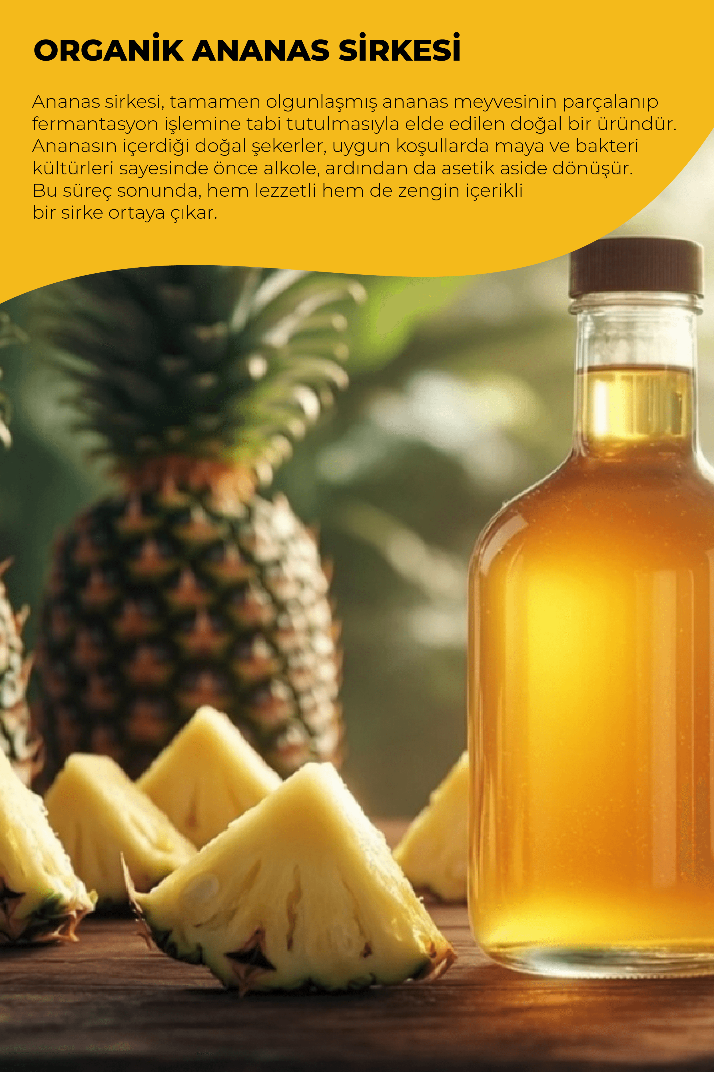 BEYORGANİK BEYGURME ORGANİK ANANAS SİRKESİ 250ML