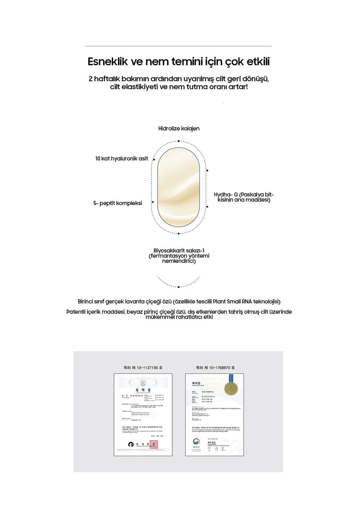Good Night Collagen Sleeping Mask ( Gece Kremi) Aydınlatıcı Kırışıklık Karşıtı