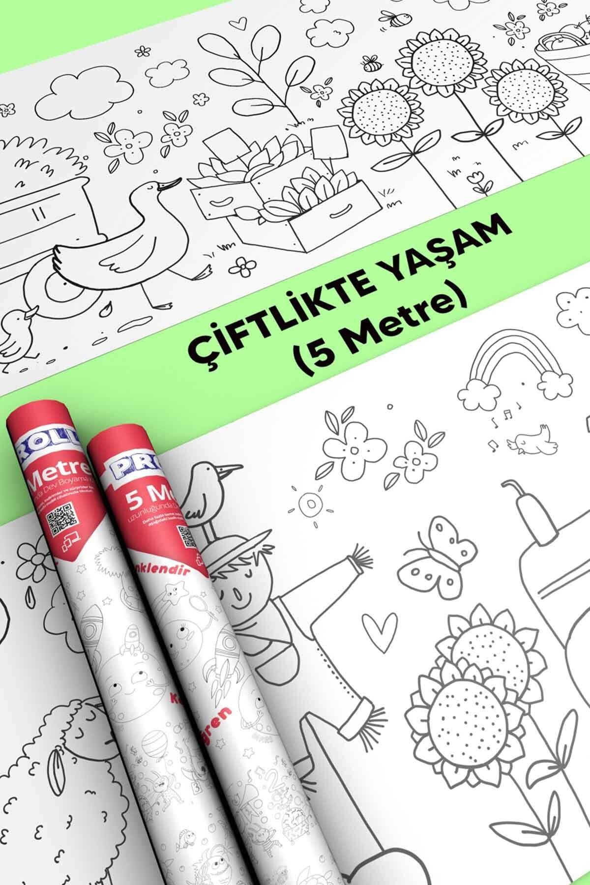 Çiftlik Hayatı Boyama Kağıdı