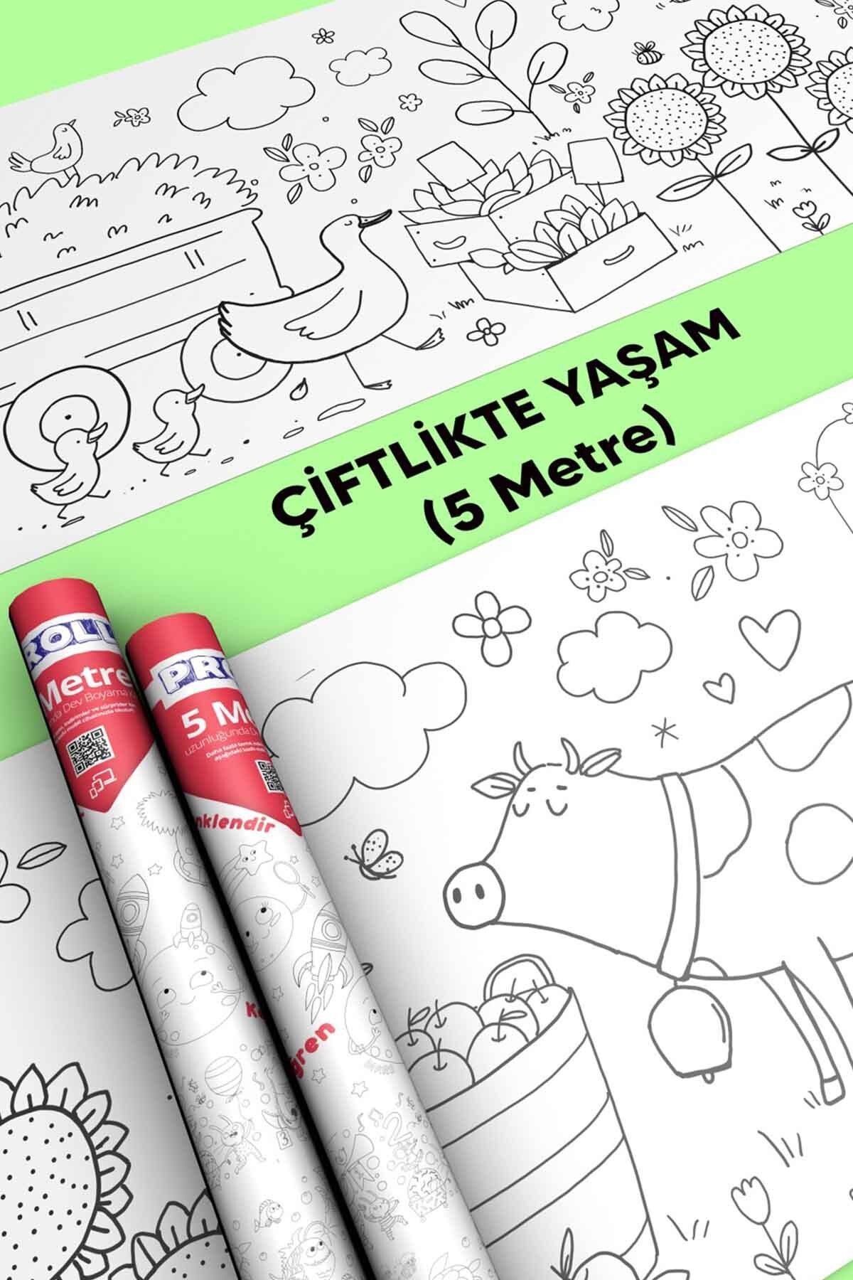 Çiftlik Hayatı Boyama Kağıdı