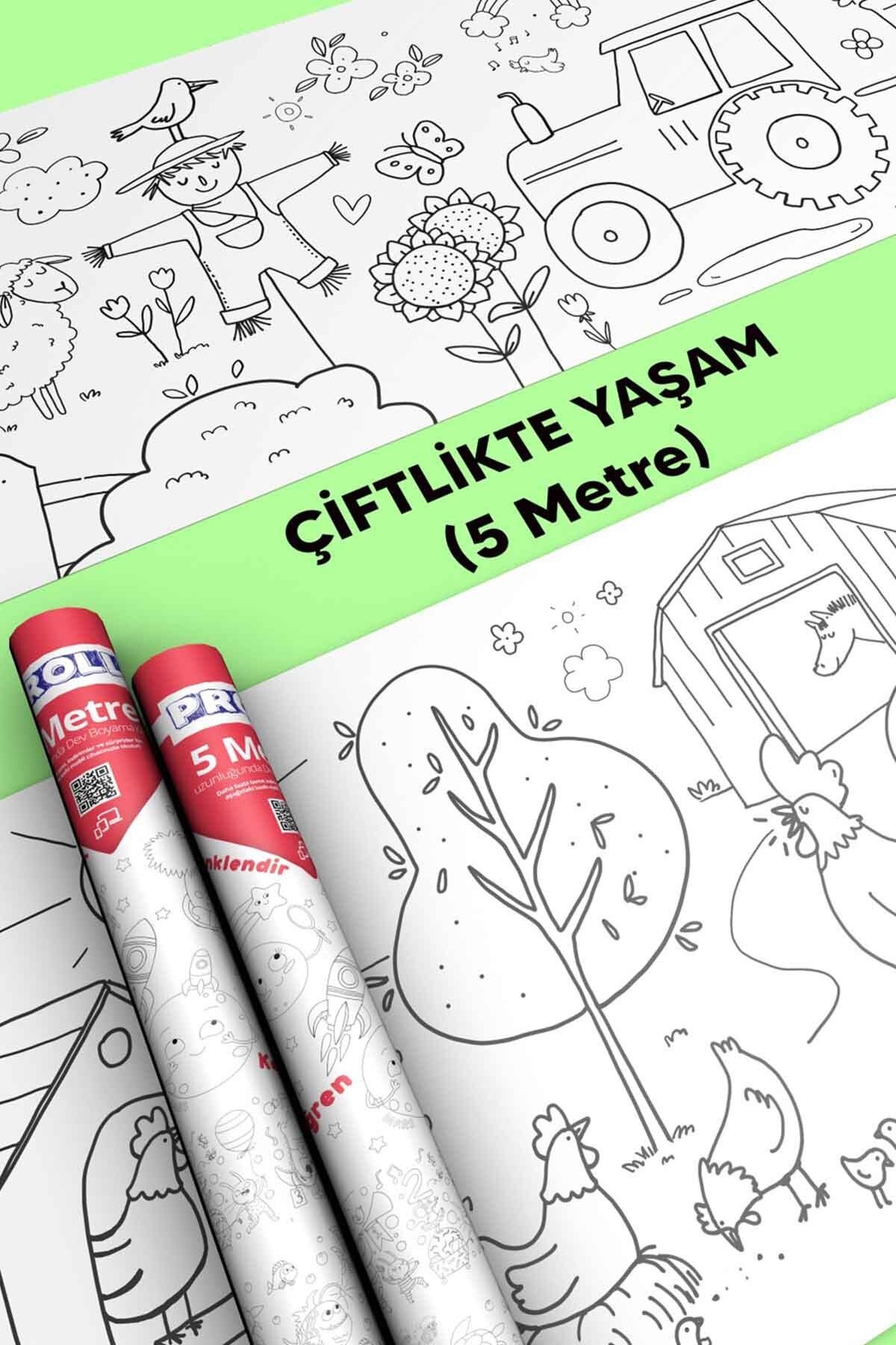 Çiftlik Hayatı Boyama Kağıdı