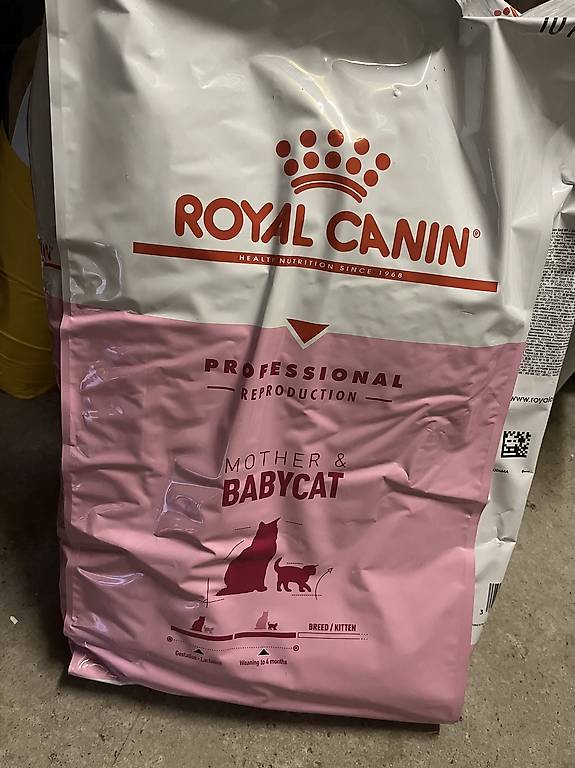 Royal Canın Mother Babycat Kedi Maması 10 Kg