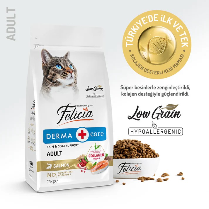 Felicia Kolajen Destekli Hipoalerjenik Somonlu Yetişkin Kedi Maması 2KG