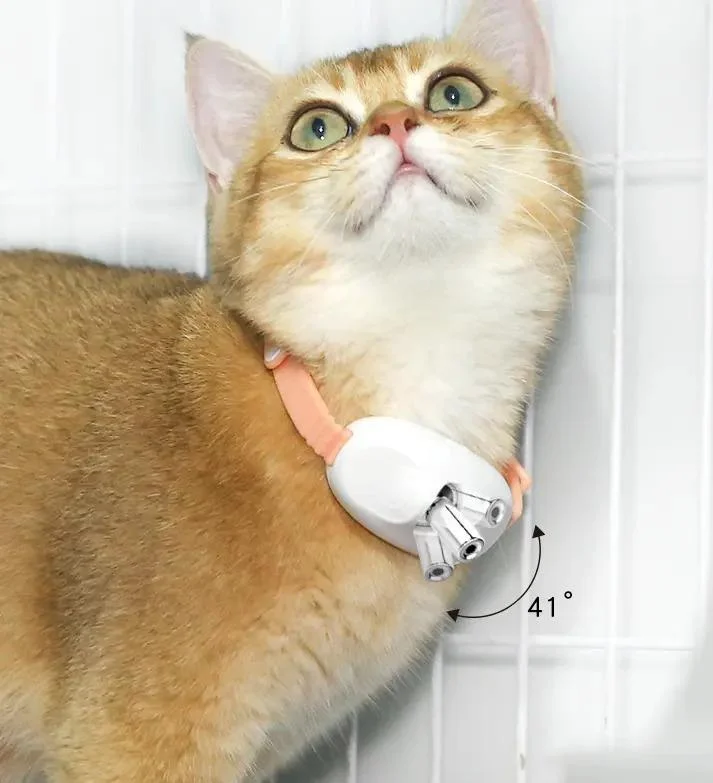  Şarjlı Lazerli Kedi Tasması 