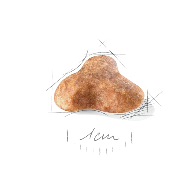 Royal Canin Pug Yetişkin Kuru Köpek Maması 1.5kg