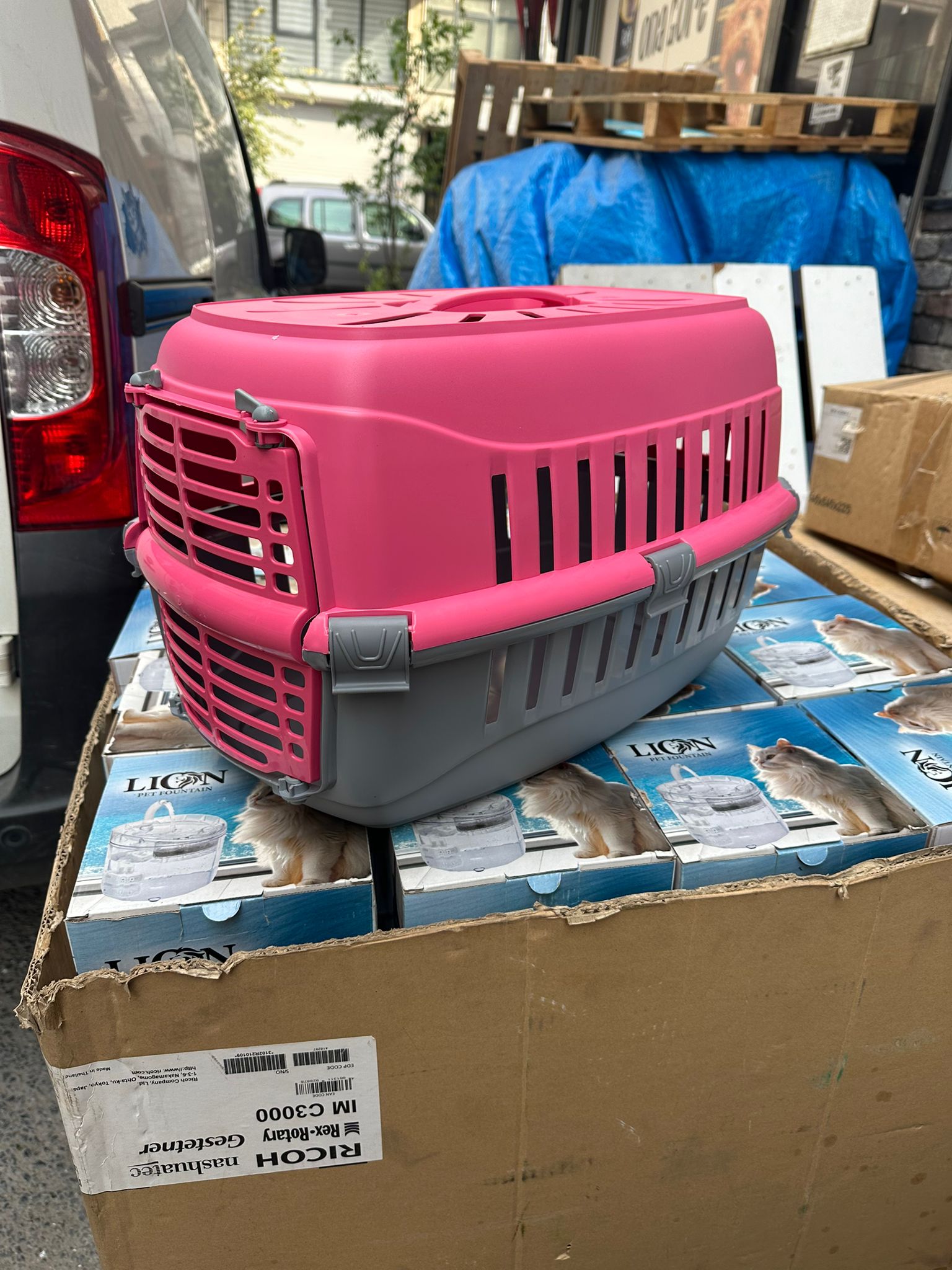 Kedi ve Köpekler İçin Plastik Taşıma Çantası Renkli