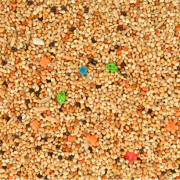 Quik Muhabbet Kuşu Yemi 500gr