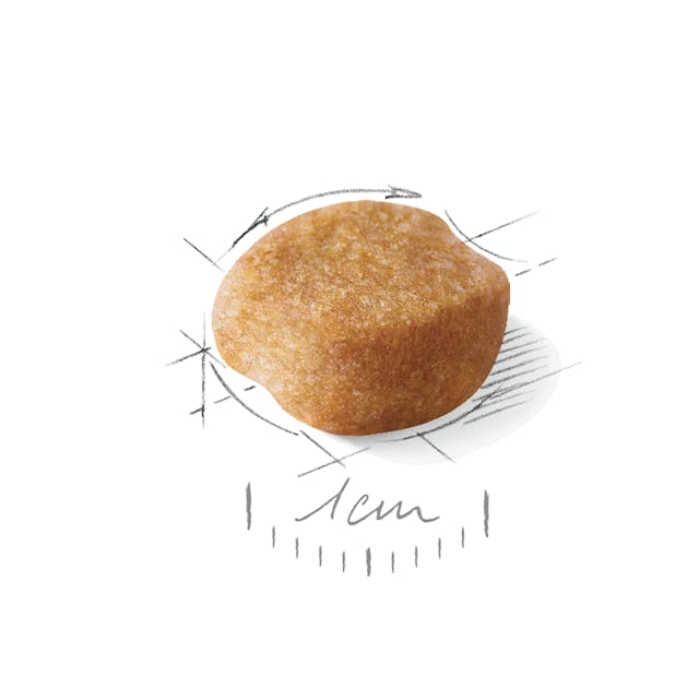 Royal Canin Yorkshire Terrier Adult 1.5 Kg Yetişkin Köpek Maması