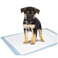 30Lu Köpek Çiş Pedi