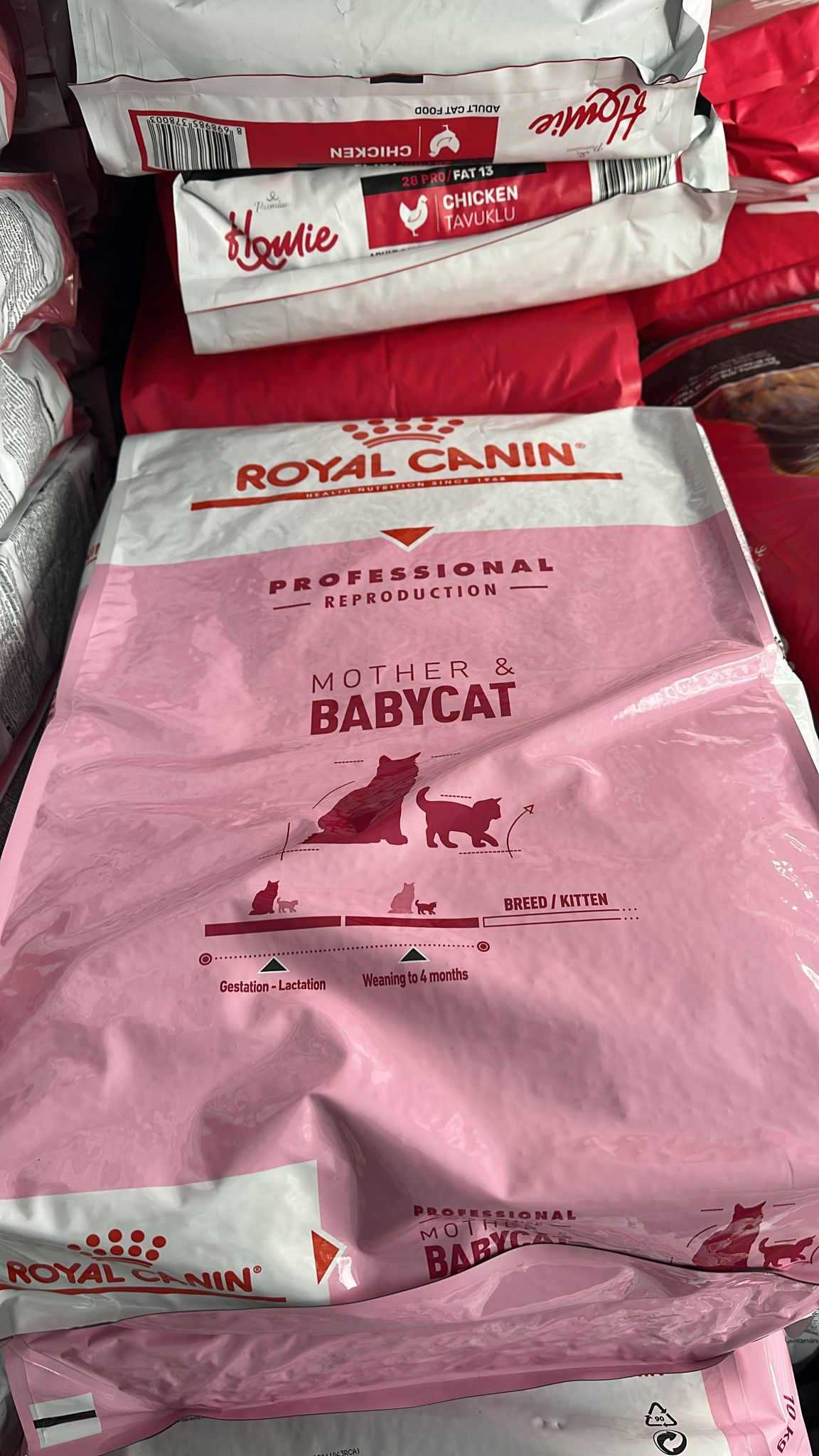 Royal Canın Mother Babycat Kedi Maması 10 Kg