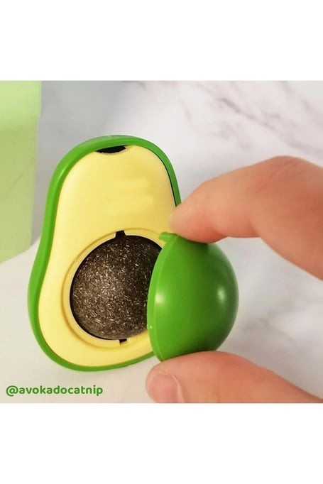 Avokado Catnip (Kedi Otlu) Kedi Çimi Topu Kedi Oyuncağı