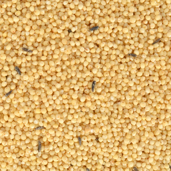 Quik Special Kabuksuz Kuş Yemi 400gr