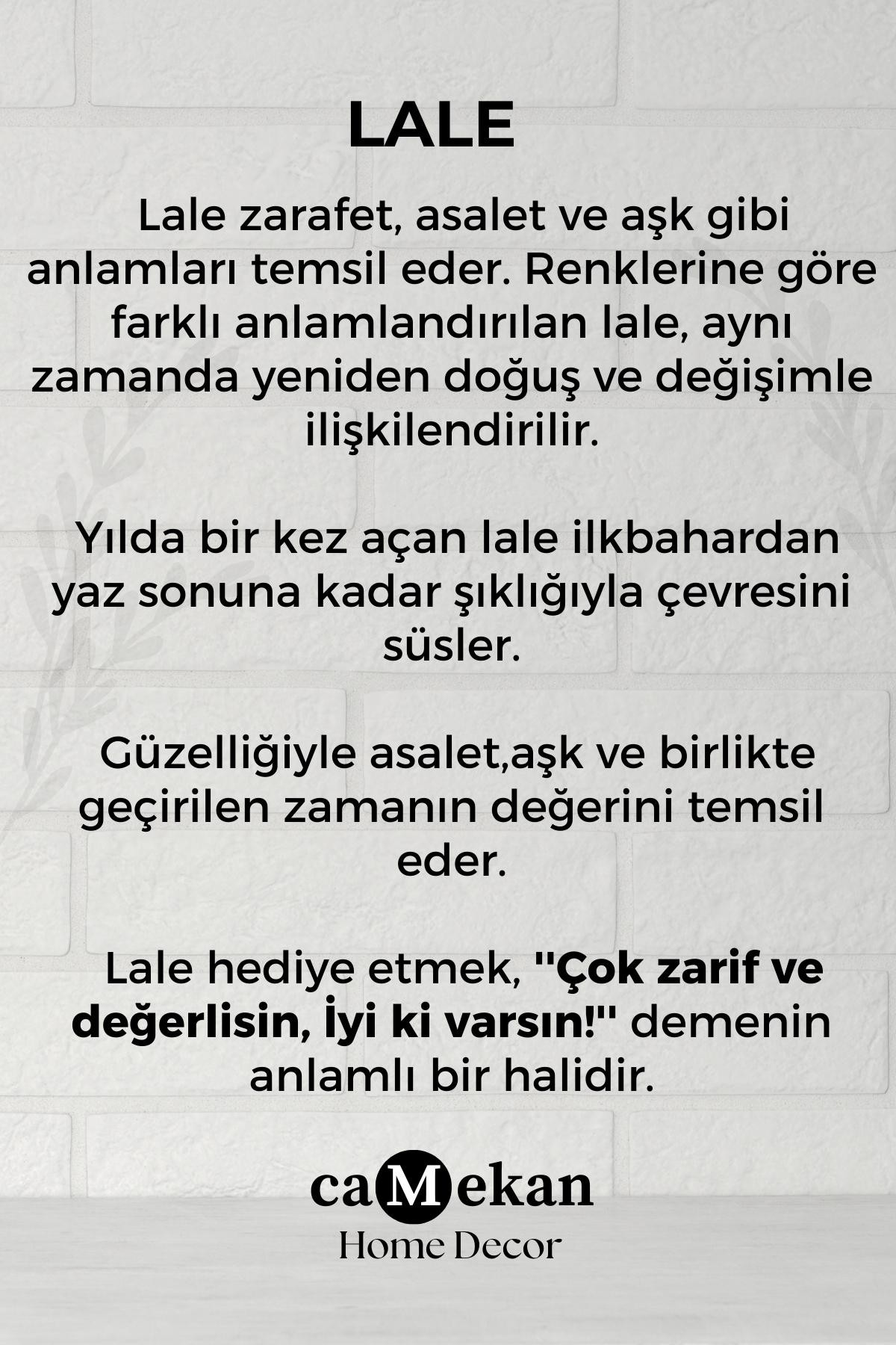 Lale Desenli El Yapımı Cam Nazarlık Hediyelik Duvar Süsü, Nazar Boncuklu Duvar Aksesuarı Ev Hediyesi