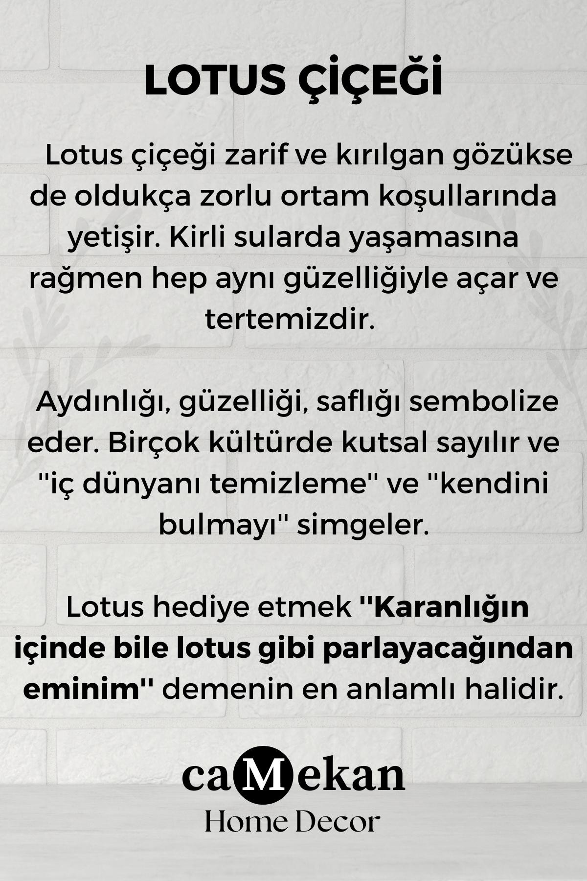 Lotus Desenli Cam Hediyelik Nazarlık Duvar Süsü Füzyon Cam Nazar Boncuklu Duvar Dekorasyonu  - Tekli