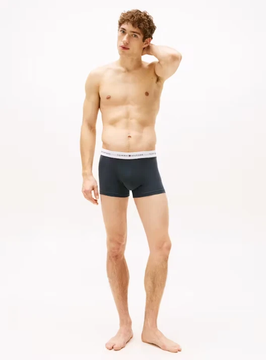 Tommy Hilfiger Erkek Çok Renkli Boxer