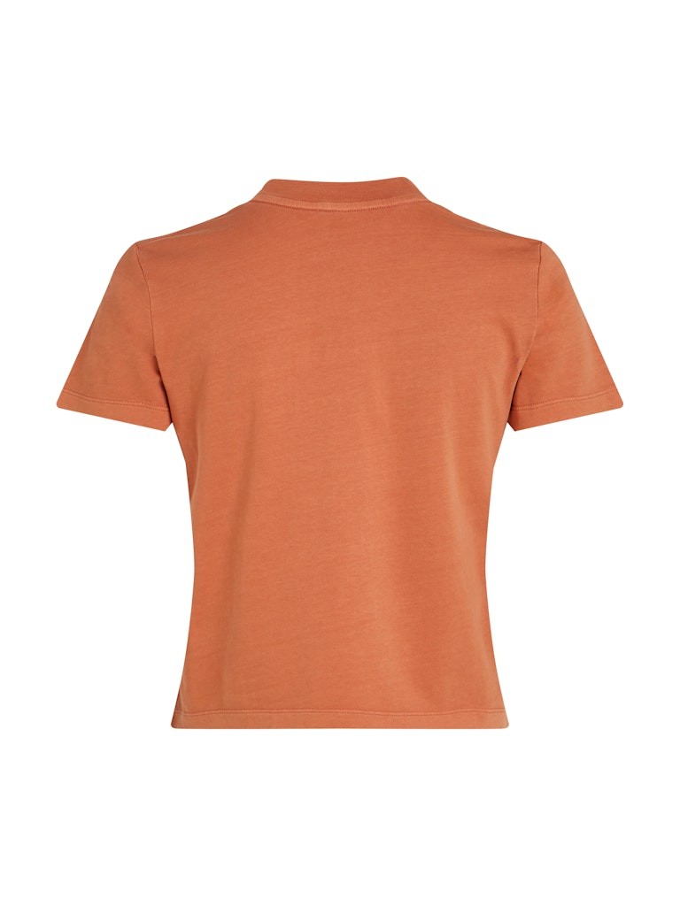 Calvin Klein Rejeneratif Pamuk Kahverengirengi Kadın Kısa Kollu T-Shirt - J20J224988GAM