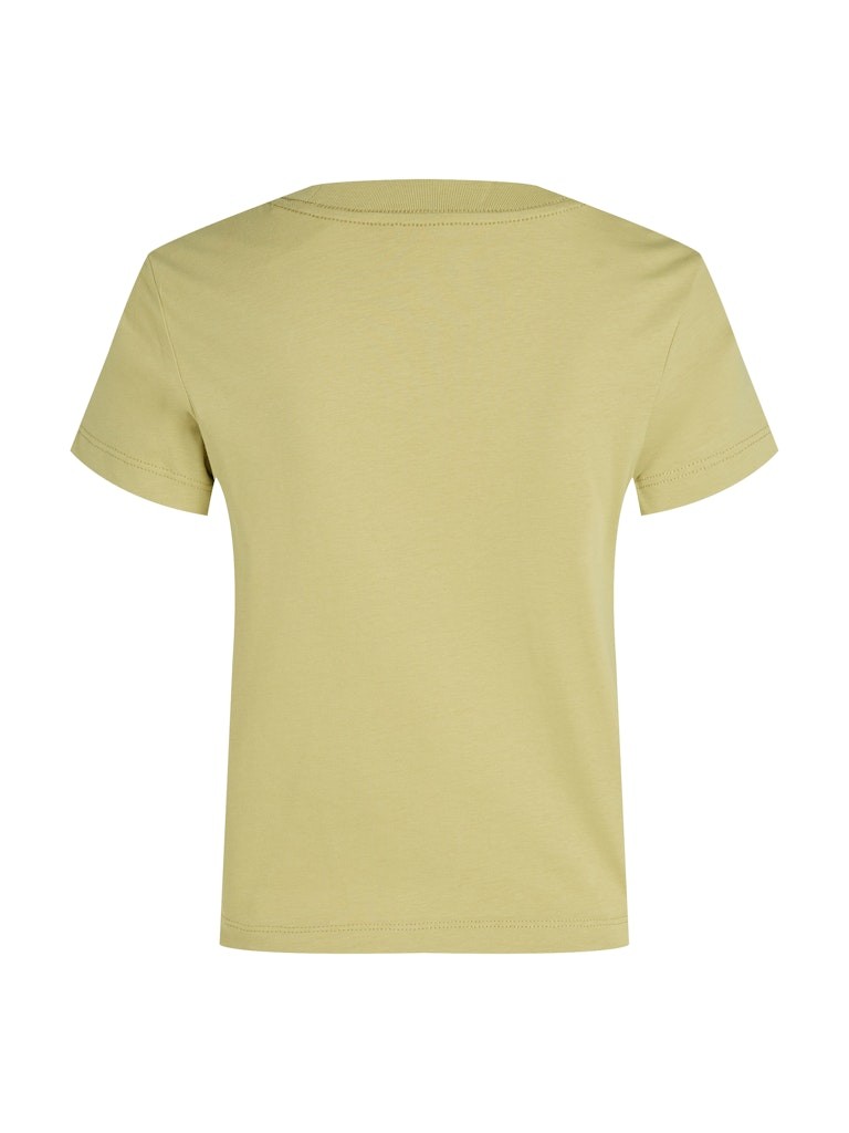 Calvin Klein Rejeneratif Pamuk Yeşil Kadın Kısa Kollu T-Shirt - J20J224984LHE