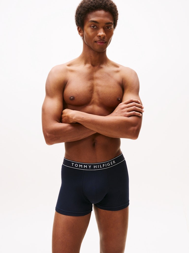 Tommy Hilfiger Erkek Lacivert  Standart Boxer  Boxer