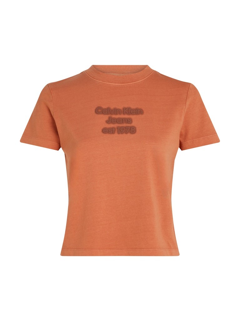 Calvin Klein Rejeneratif Pamuk Kahverengirengi Kadın Kısa Kollu T-Shirt - J20J224988GAM
