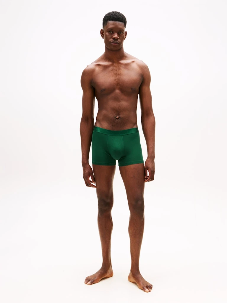 Tommy Hilfiger Erkek Çok Renkli  Standart Boxer  Boxer