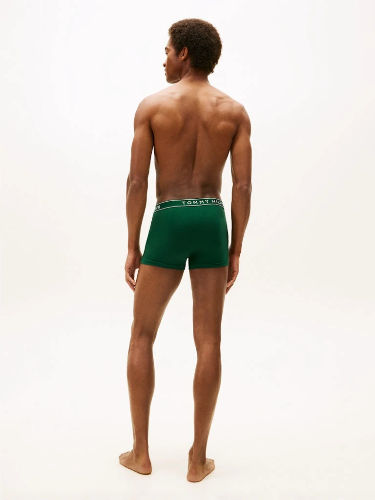 Tommy Hilfiger Erkek Çok Renkli  Standart Boxer  Boxer