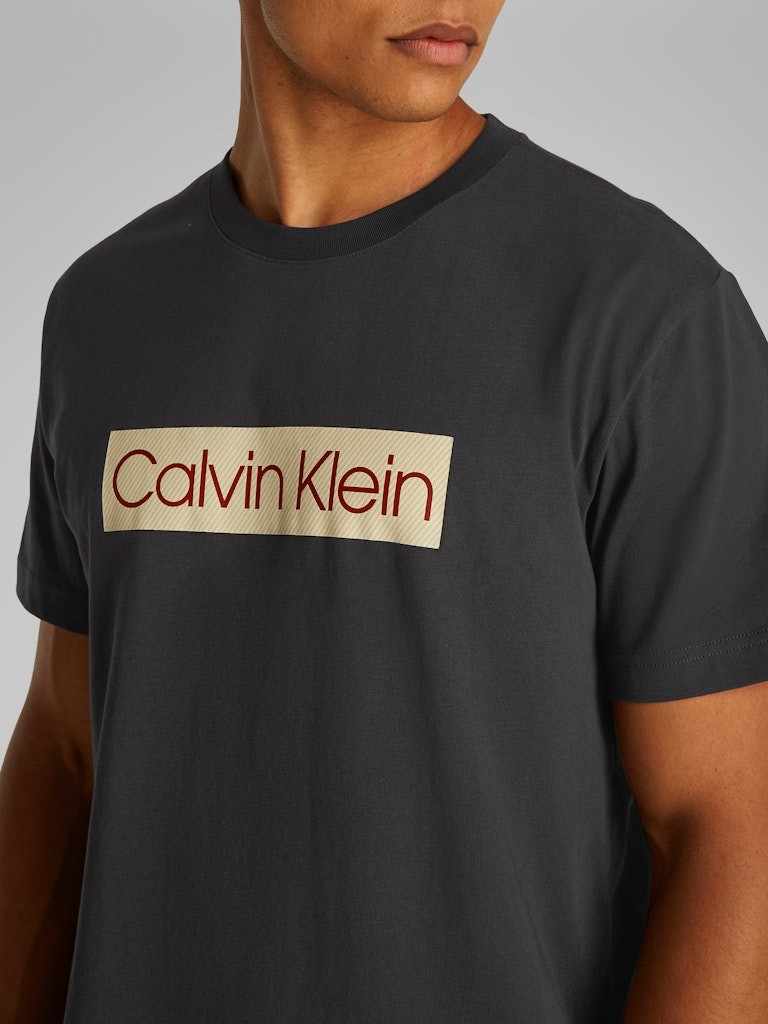 Calvin Klein Rejeneratif Pamuk Siyah Erkek Kısa Kollu T-Shirt - J30J327472BA1