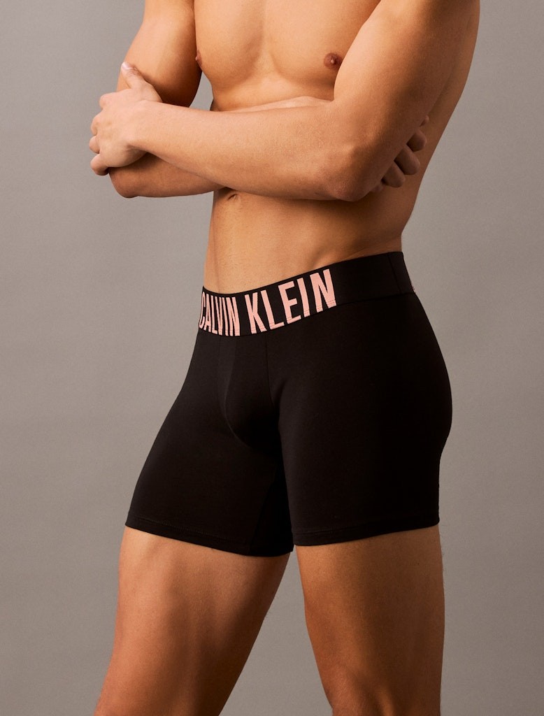 Calvin Klein Pamuk Siyah Erkek Uzun Boxer - 000NB3609AVVN