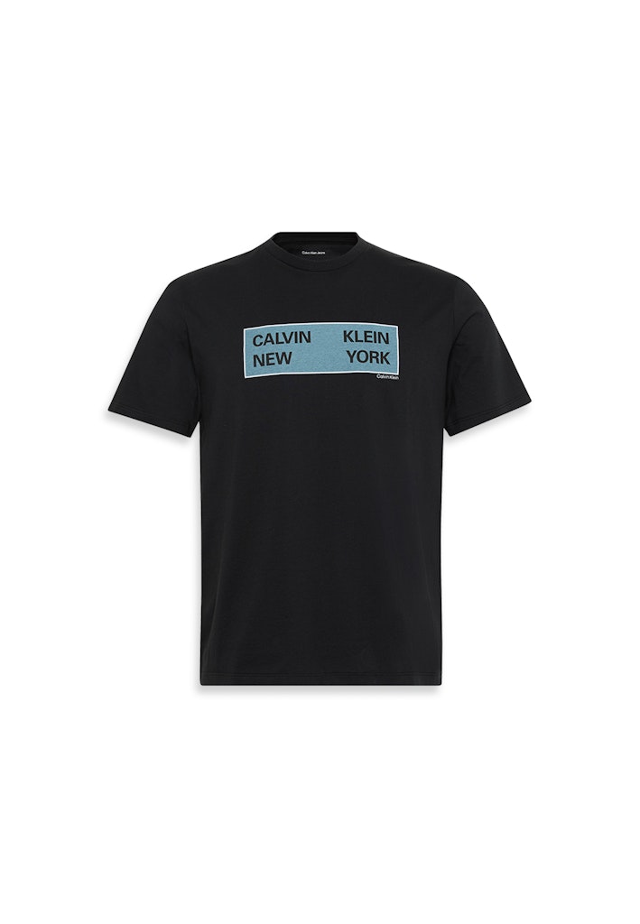 Calvin Klein Erkek Siyah O Yaka T-Shirt