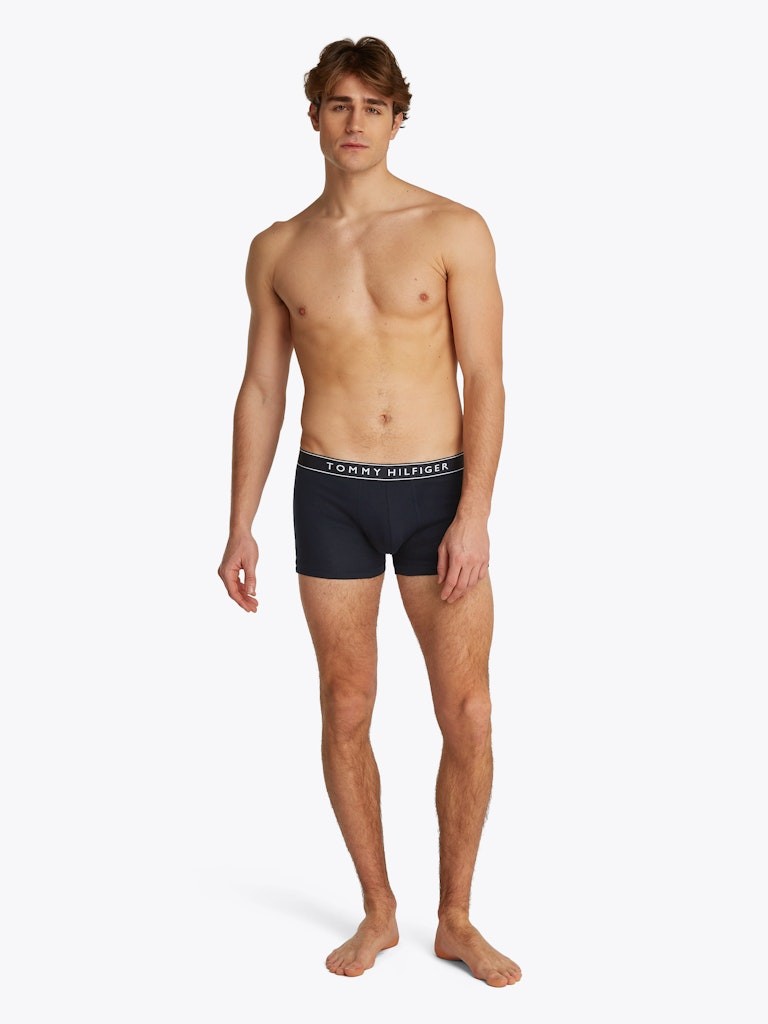 Tommy Hilfiger Erkek Lacivert  Standart Boxer  Boxer