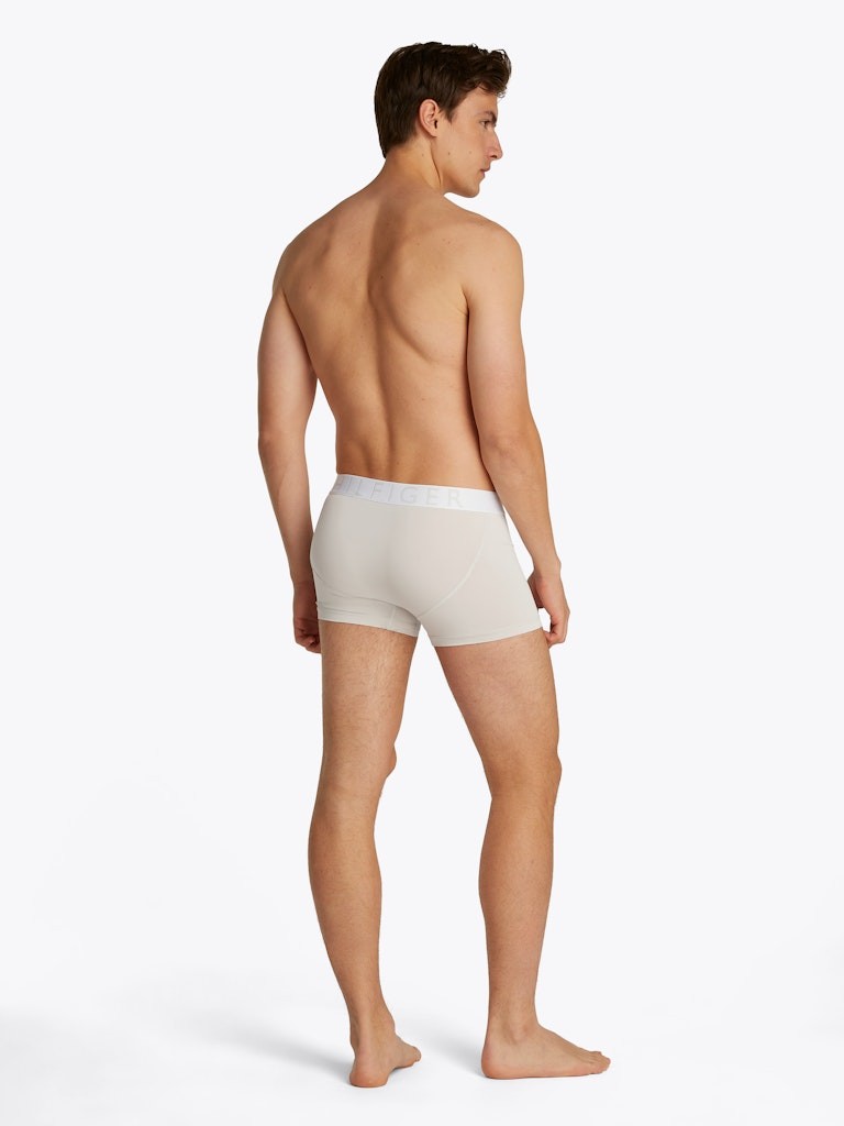 Tommy Hilfiger Poliamid Çok Renkli Erkek Klasik Boxer - UM0UM034670SR
