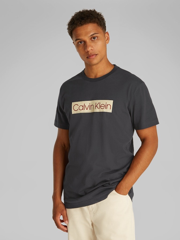 Calvin Klein Rejeneratif Pamuk Siyah Erkek Kısa Kollu T-Shirt - J30J327472BA1