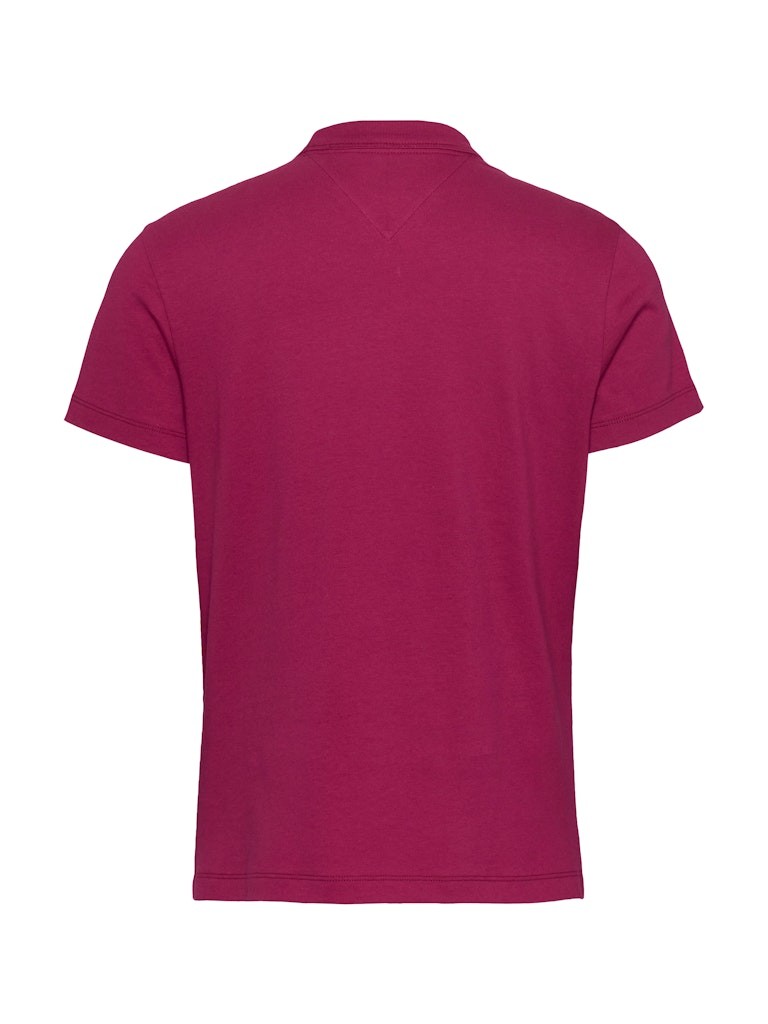 Tommy Hilfiger Rejeneratif Pamuk Pempe Kadın Kısa Kollu T-Shirt - DW0DW20153XIP