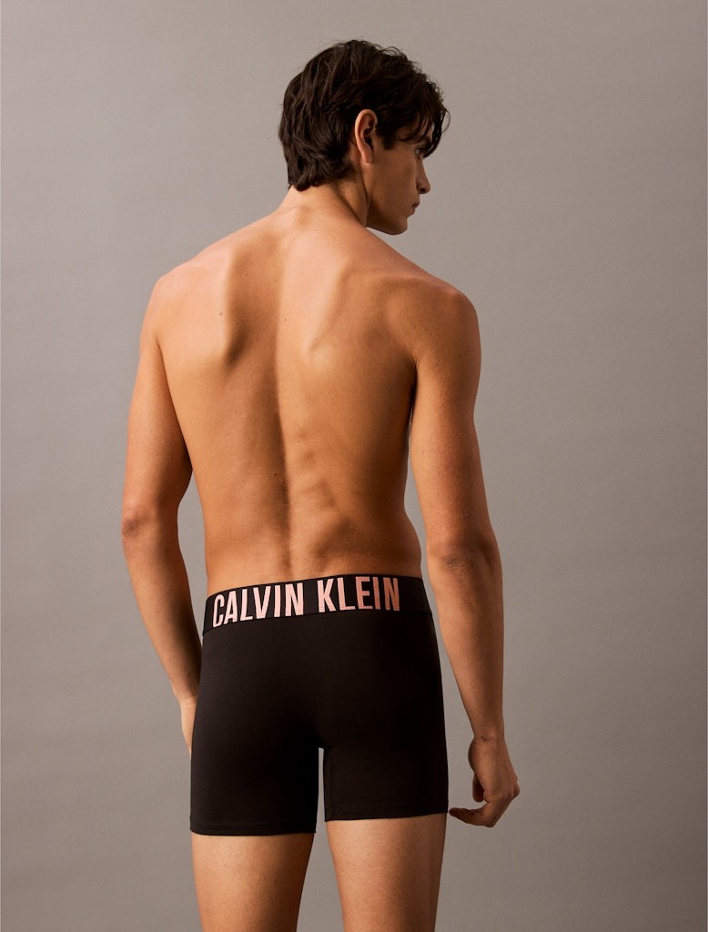 Calvin Klein Pamuk Siyah Erkek Uzun Boxer - 000NB3609AVVN