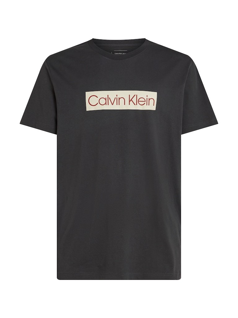 Calvin Klein Rejeneratif Pamuk Siyah Erkek Kısa Kollu T-Shirt - J30J327472BA1