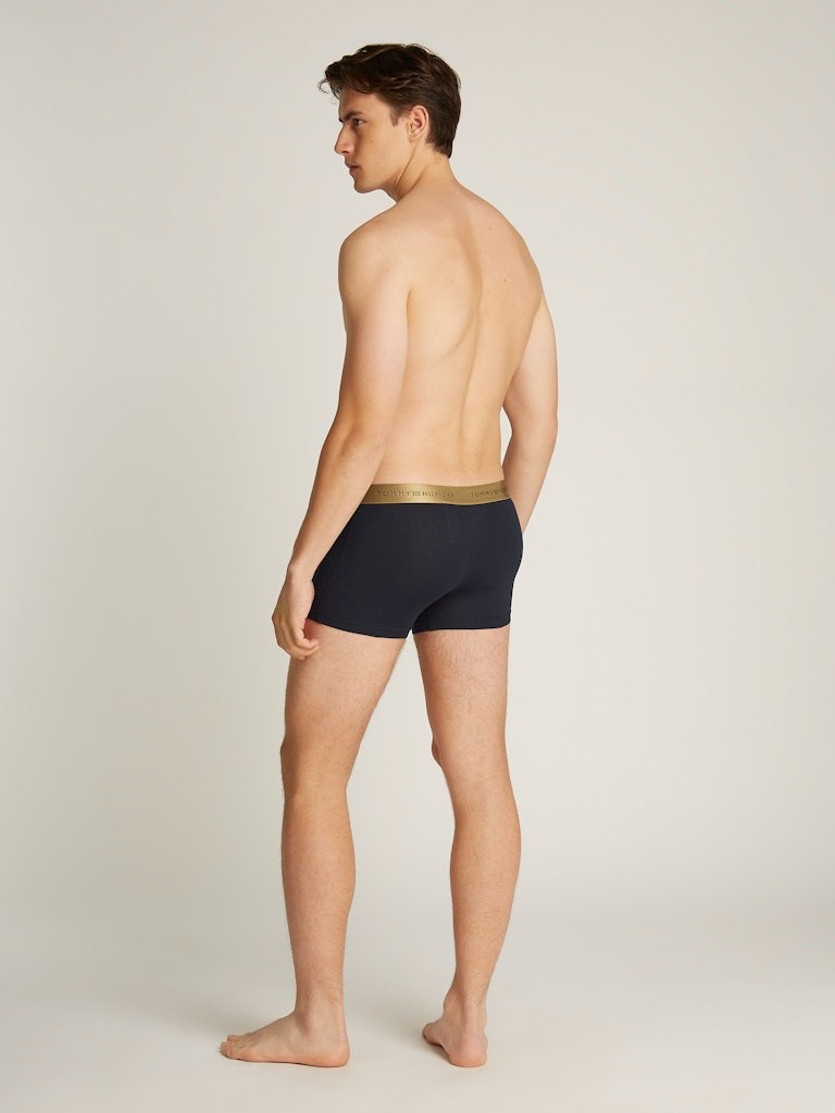 Tommy Hilfiger Trunk Çok Renkli Boxer