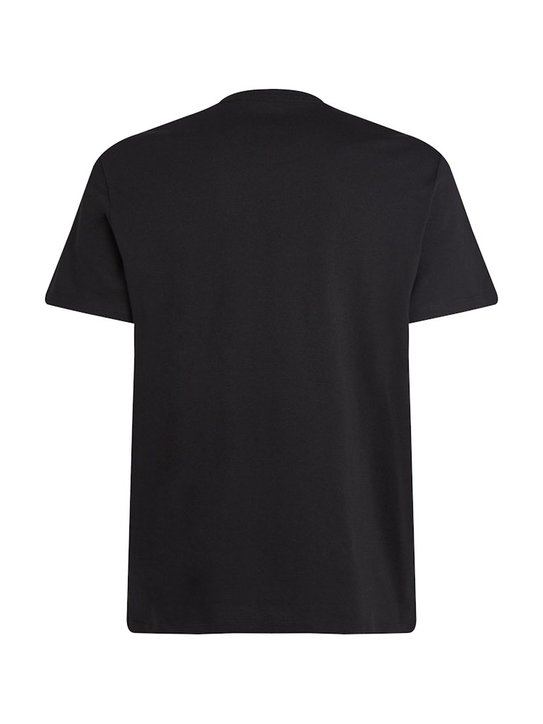 Calvin Klein Rejeneratif Pamuk Siyah Erkek Kısa Kollu T-Shirt - LV040EM286UB1