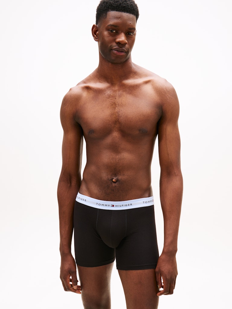 Tommy Hilfiger Erkek Çok Renkli  Standart Boxer  Boxer
