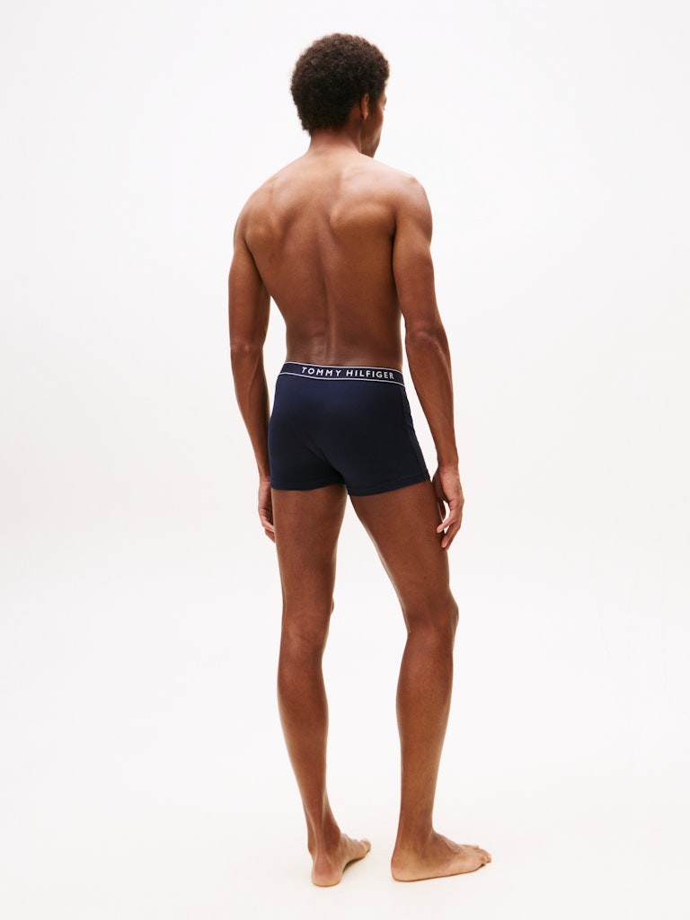 Tommy Hilfiger Erkek Lacivert  Standart Boxer  Boxer