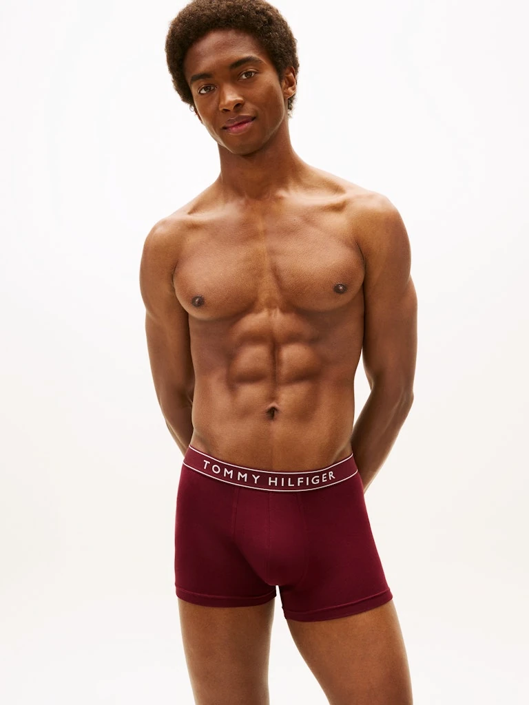 Tommy Hilfiger Erkek Çok Renkli  Standart Boxer  Boxer