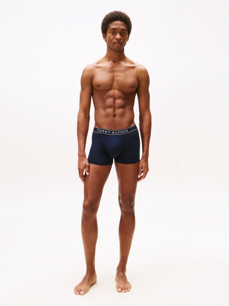 Tommy Hilfiger Erkek Lacivert  Standart Boxer  Boxer