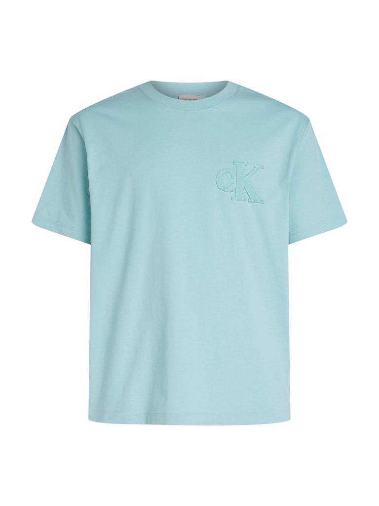 Calvin Klein Rejeneratif Pamuk Yeşil Erkek Kısa Kollu T-Shirt